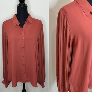 Express Sheer Brown Long Sleeve Button Up Blouse (Large)